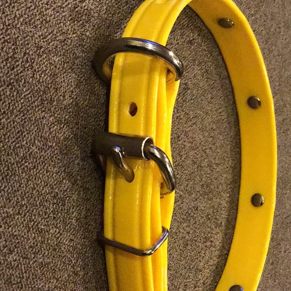 Dog collar - Picture 3 of 4